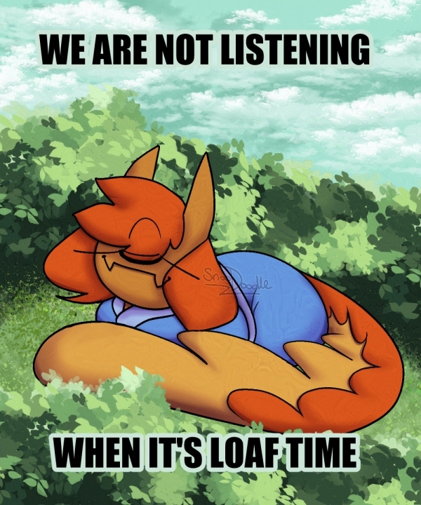 Tzun loafing in the grass, captioned 'WE ARE NOT LISTENING WHEN IT'S LOAF TIME'